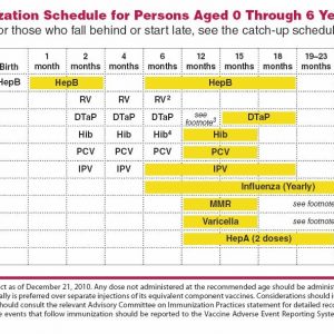 American Academy Of Pediatrics Immunization Chart